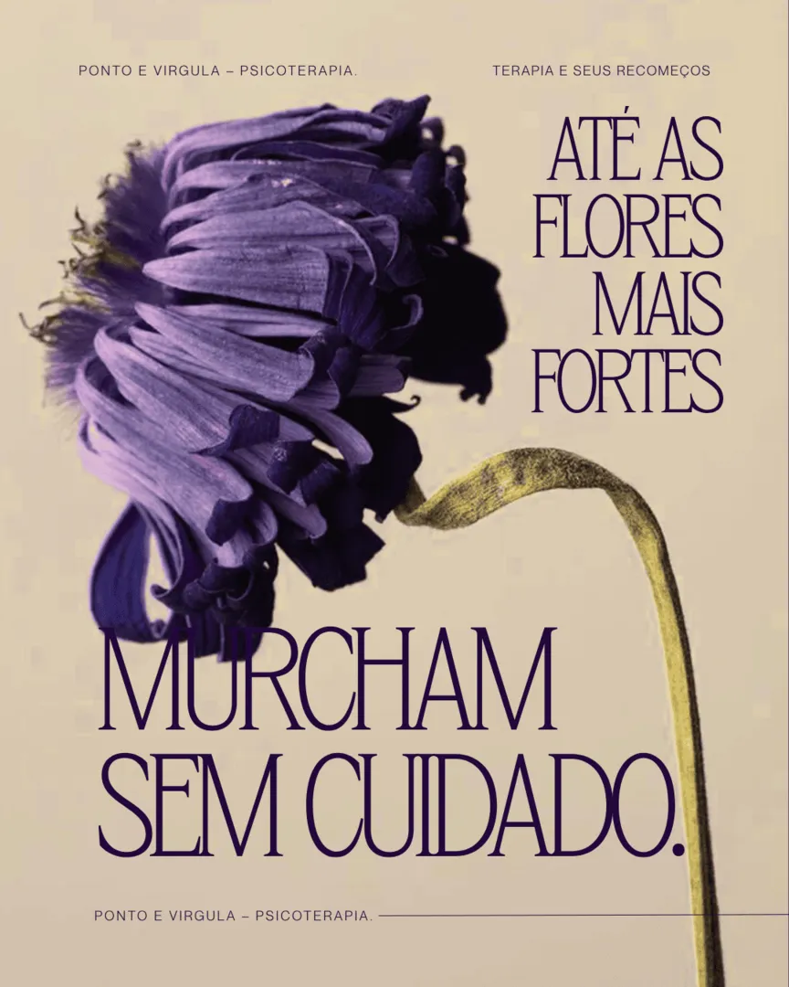 Ponto e Vírgula - Imagem 12